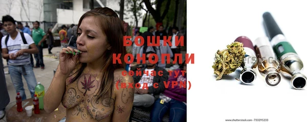 apvp Каменка