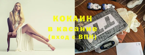 apvp Каменка