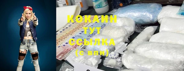 apvp Каменка