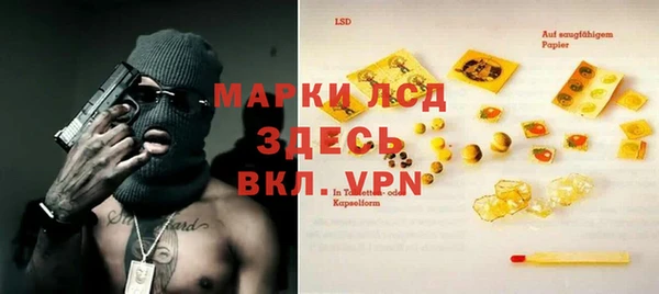 apvp Каменка