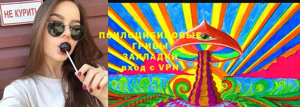 apvp Каменка