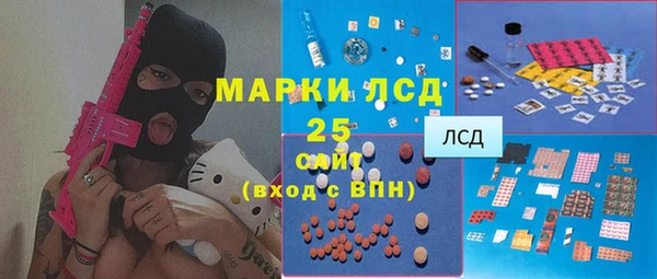 apvp Каменка