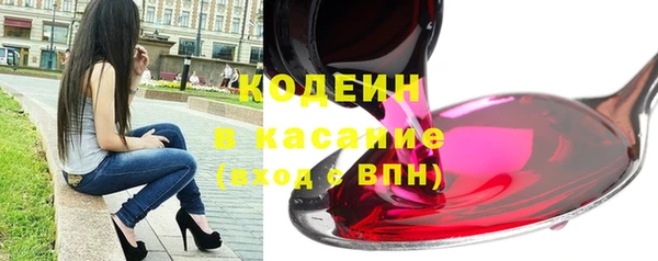 apvp Каменка